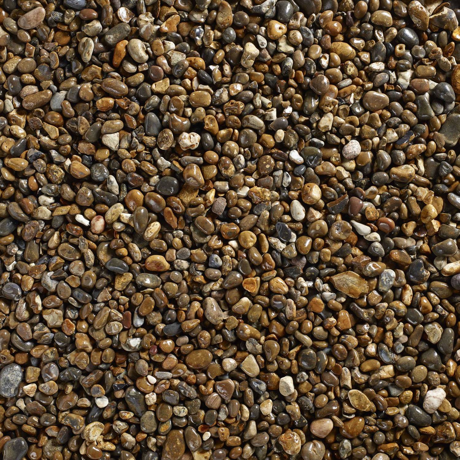 River Washed Decorative Pebbles Stones Wet